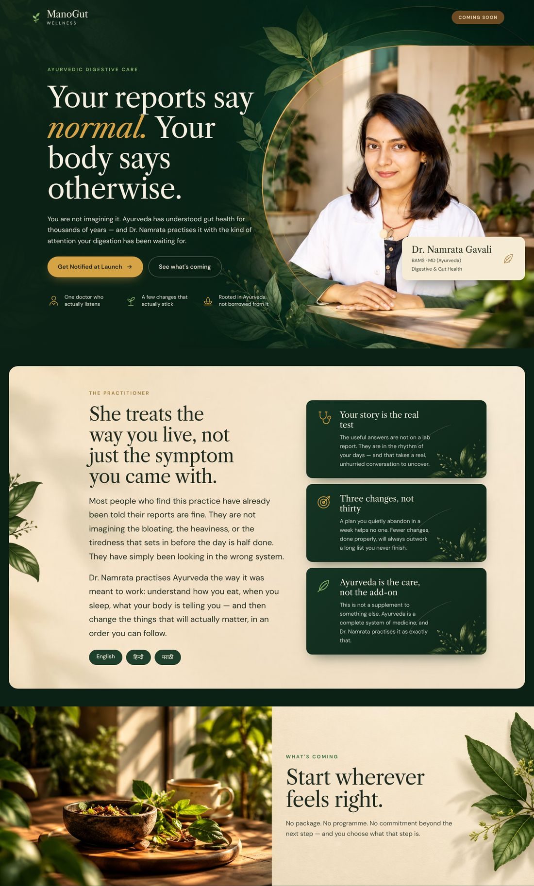 ManoGut Wellness home page, upper half